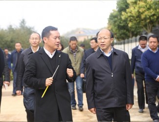 云南省委常委、副書記李秀領一行到苗鄉(xiāng)三七科技示范園考察調(diào)研