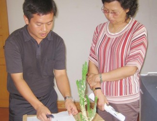 云南省藥監(jiān)局孫燕副局長會(huì)同文山州人民政府副州長張秀蘭到苗鄉(xiāng)三七參觀調(diào)研