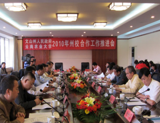 苗鄉(xiāng)三七與云南農(nóng)大簽署校企合作協(xié)議，構(gòu)建了戰(zhàn)略聯(lián)盟關(guān)系