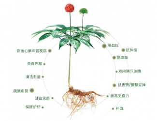 三七救人無國界，美軍飛行員曾受益