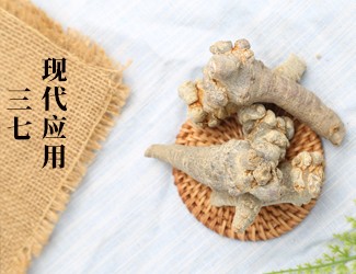 三七的功效作用在現(xiàn)代臨床中的應(yīng)用，揭秘醫(yī)生如何用三七治病