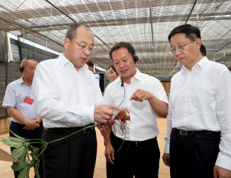 云南省委書記阮成發(fā)省長王予波等領導到苗鄉(xiāng)三七調(diào)研指導