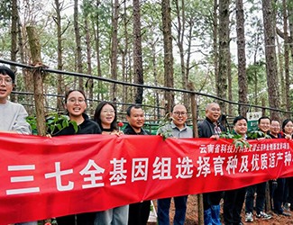 無數(shù)次從零到一，無數(shù)人前赴后繼守護三七“種業(yè)芯片”