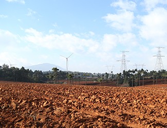 三七土壤危機何解？官會林教授開出“生態(tài)藥方”