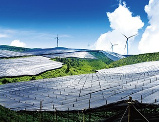 董林林博士如何看待苗鄉(xiāng)全產(chǎn)業(yè)鏈品控管理體系？